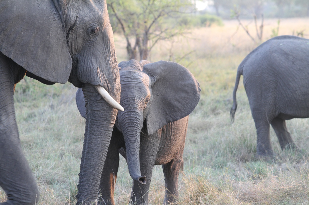 Mother and baby