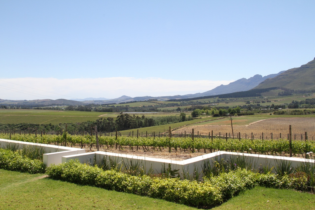 We took a wine tour of the Cape region