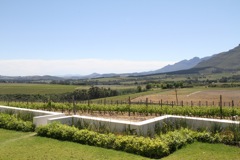 We took a wine tour of the Cape region